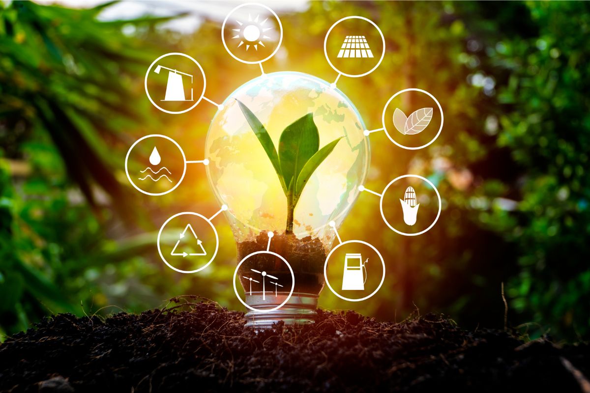 Grafika pokazująca różnorodność naturalnych źródeł energii odnawialnej